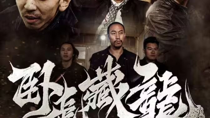 卧虎藏龙贰官方网站