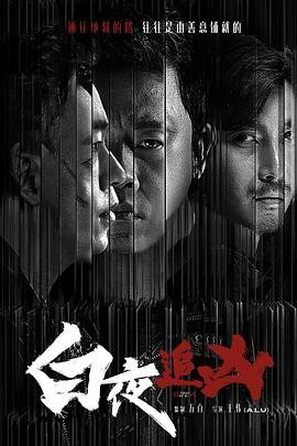 白夜追凶 中文免费高清在线观看第三季全集