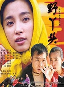 大陆电视剧《野丫头》在线免费观看全集完整版