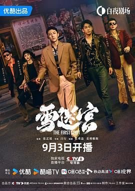 《雪迷宫》电视剧免费播放在线观看完整版高清