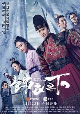 《锦衣之下》全集完整版免费在线观看_电视剧