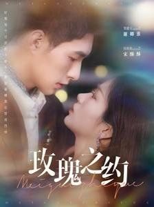 玫瑰之约电动车怎么样